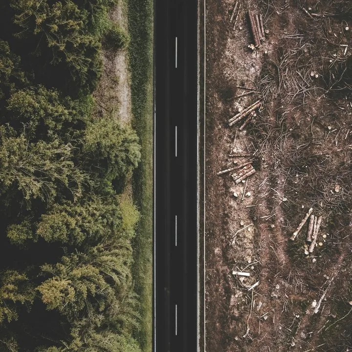 Aerial view of a road through cleared forest